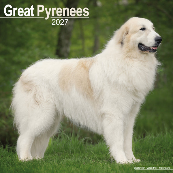 Great Pyrenees Calendar 2027