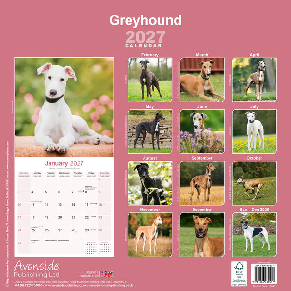 Greyhound Calendar 2027