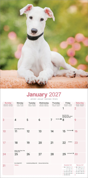 Greyhound Calendar 2027