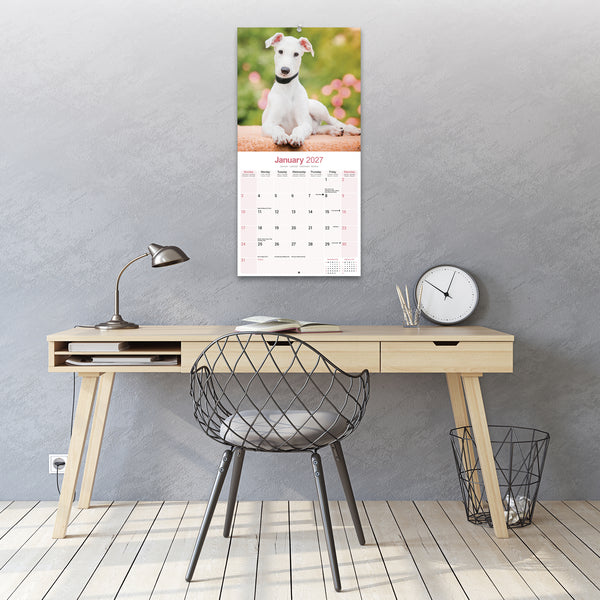 Greyhound Calendar 2027