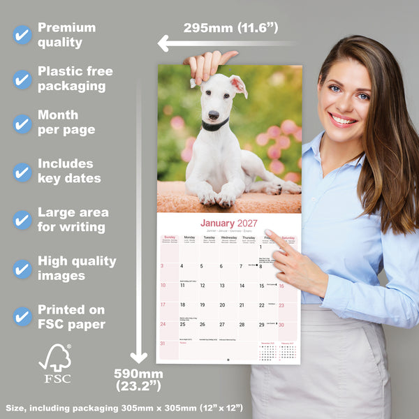 Greyhound Calendar 2027