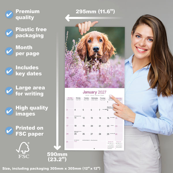 Irish Setter Calendar 2027