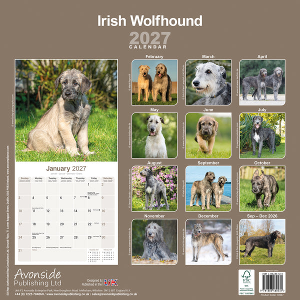 Irish Wolfhound Calendar 2027
