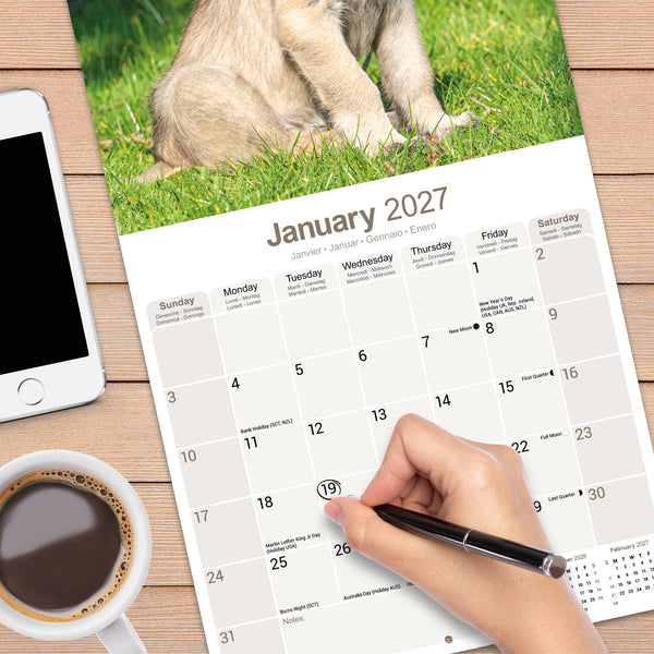 Irish Wolfhound Calendar 2027