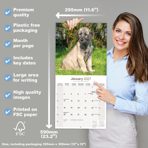 Irish Wolfhound Calendar 2027