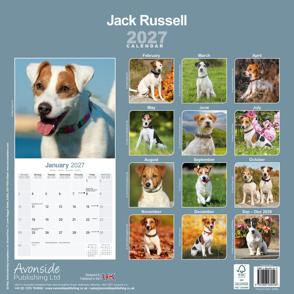 Jack Russell Calendar 2027