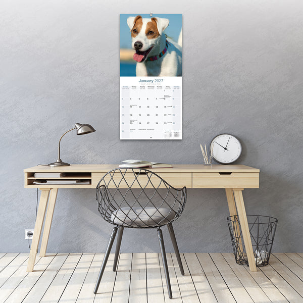 Jack Russell Calendar 2027