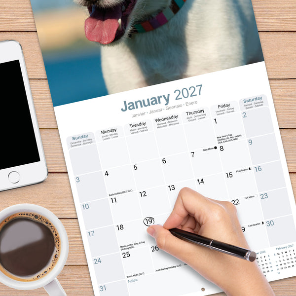 Jack Russell Calendar 2027