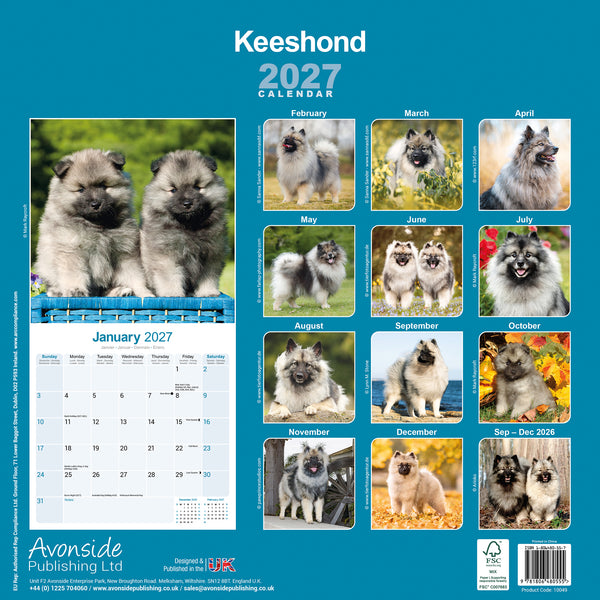 Keeshond Calendar 2027