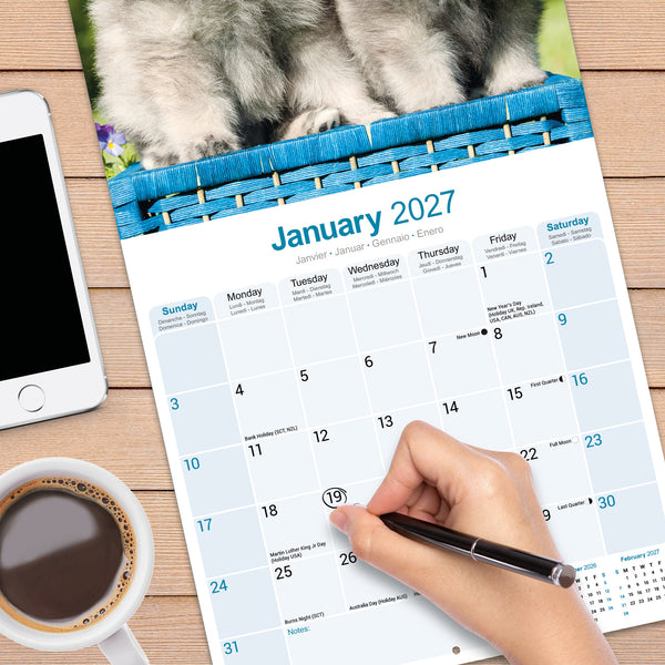 Keeshond Calendar 2027