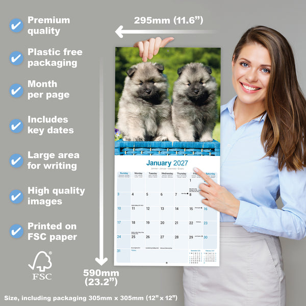 Keeshond Calendar 2027