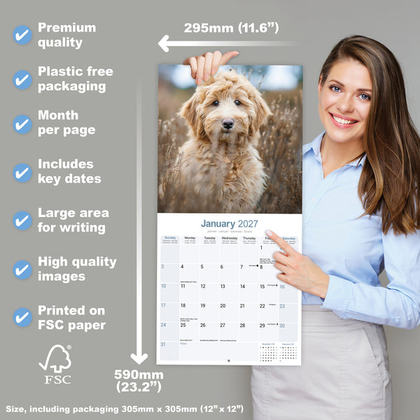 Labradoodle Calendar 2027