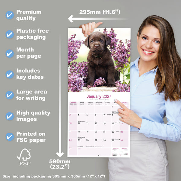 Chocolate Labrador Retriever Calendar 2027