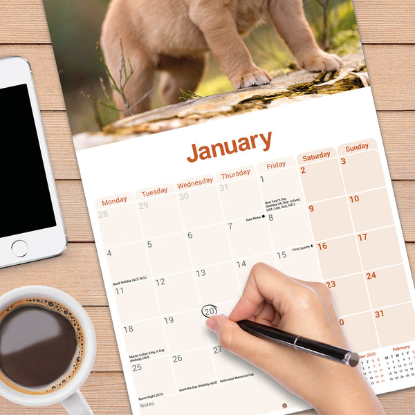 Fox Red Labrador Retriever Calendar 2027