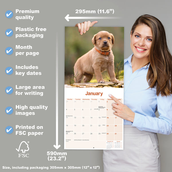 Fox Red Labrador Retriever Calendar 2027