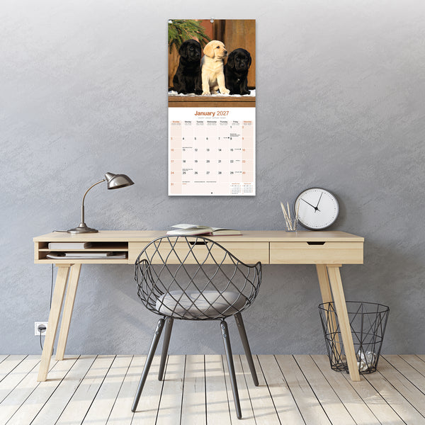 Labrador Retrievers Calendar 2027