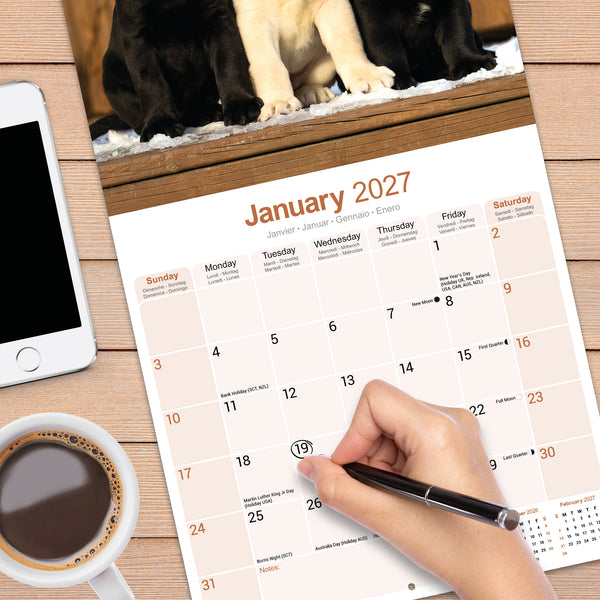 Labrador Retrievers Calendar 2027