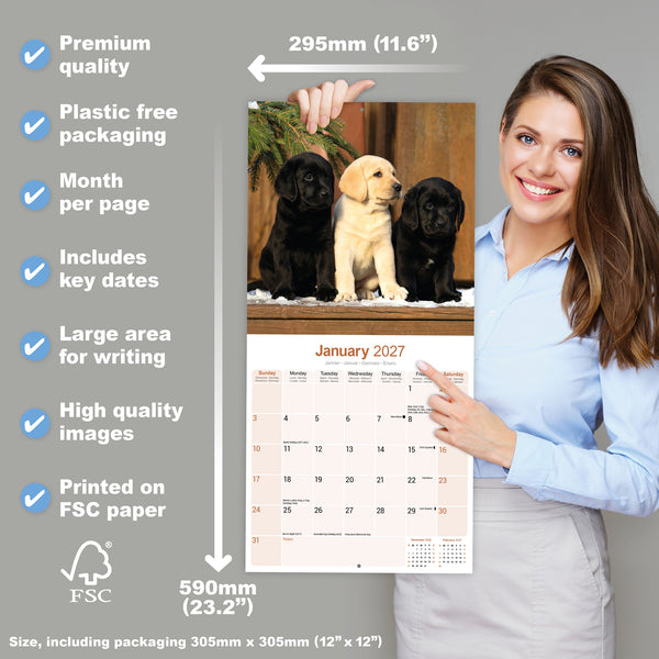Labrador Retrievers Calendar 2027