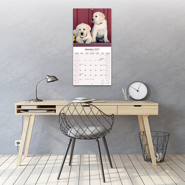 Yellow Labrador Retriever Calendar 2027