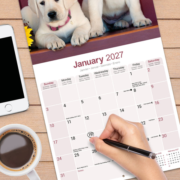 Yellow Labrador Retriever Calendar 2027
