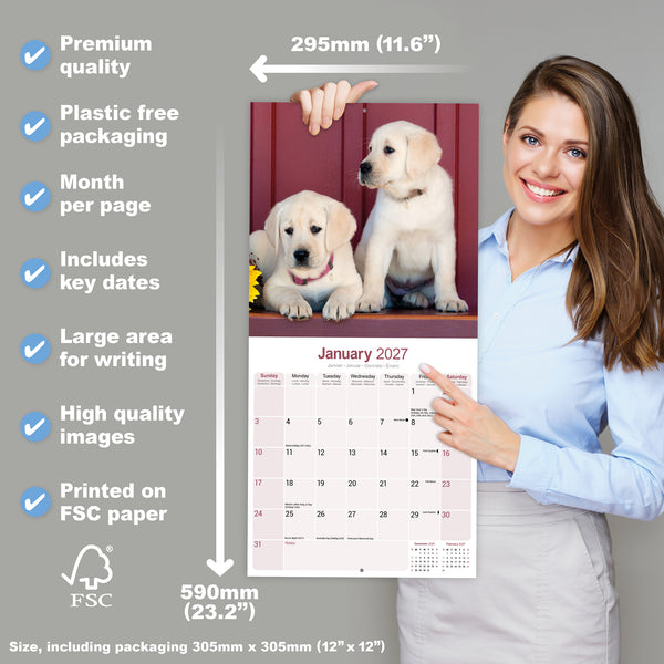 Yellow Labrador Retriever Calendar 2027