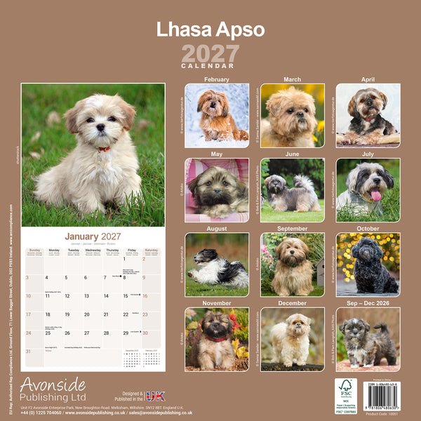 Lhasa Apso Calendar 2027