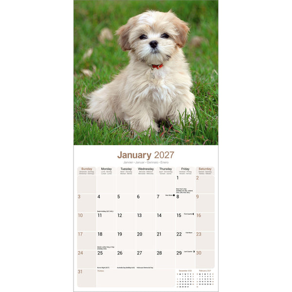 Lhasa Apso Calendar 2027