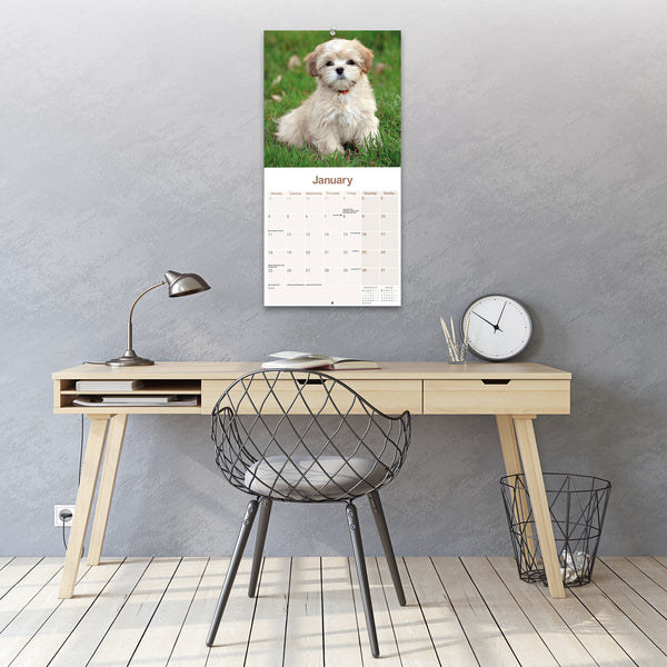 Lhasa Apso Calendar 2027