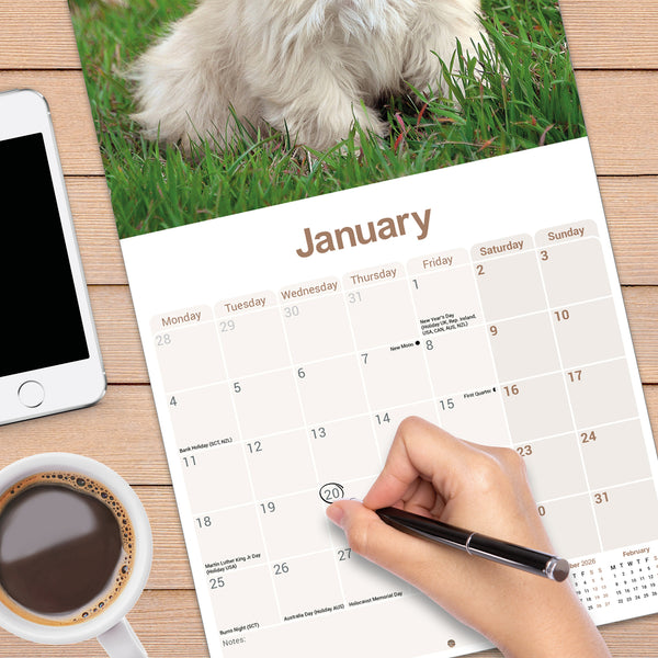 Lhasa Apso Calendar 2027