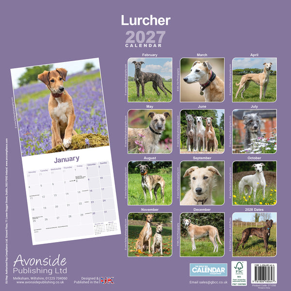 Lurcher Calendar 2027