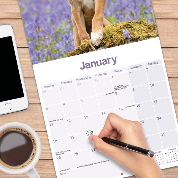 Lurcher Calendar 2027