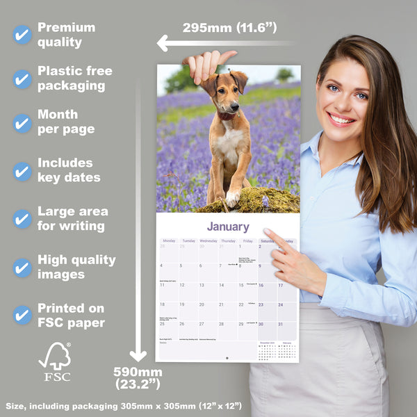 Lurcher Calendar 2027