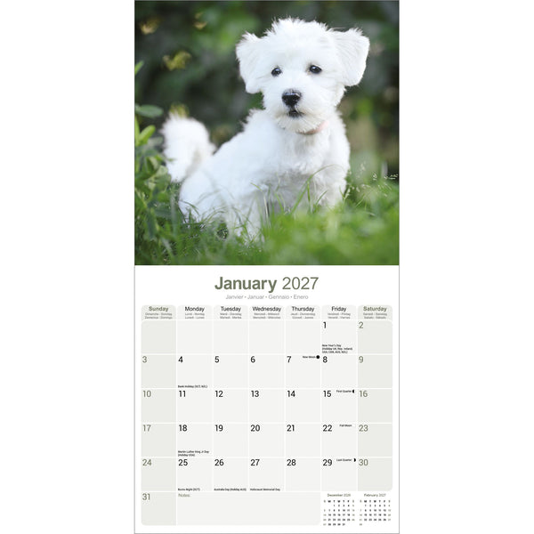 Maltese Calendar 2027