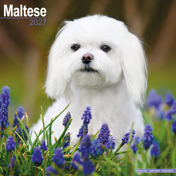 Maltese Calendar 2027