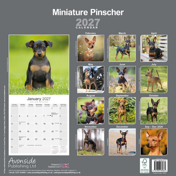 Miniature Pinscher Calendar 2027