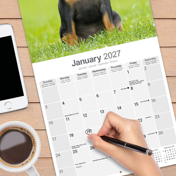Miniature Pinscher Calendar 2027
