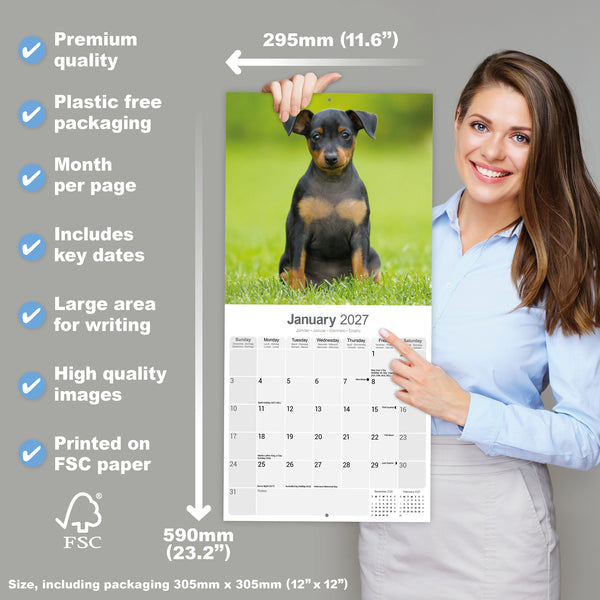 Miniature Pinscher Calendar 2027