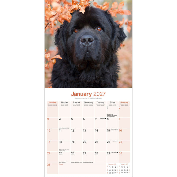 Newfoundland Calendar 2027