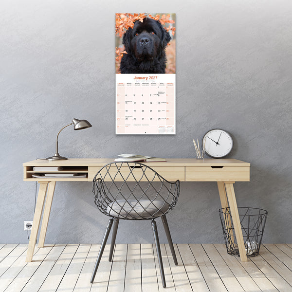 Newfoundland Calendar 2027