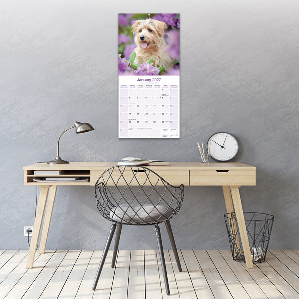 Norwich Norfolk Terrier Calendar 2027