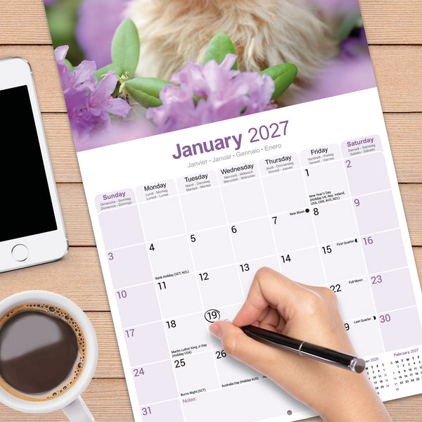 Norwich Norfolk Terrier Calendar 2027