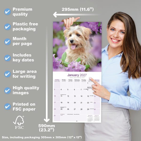 Norwich Norfolk Terrier Calendar 2027