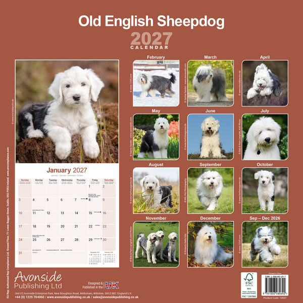 Old English Sheepdog Calendar 2027