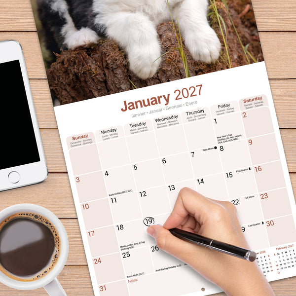 Old English Sheepdog Calendar 2027