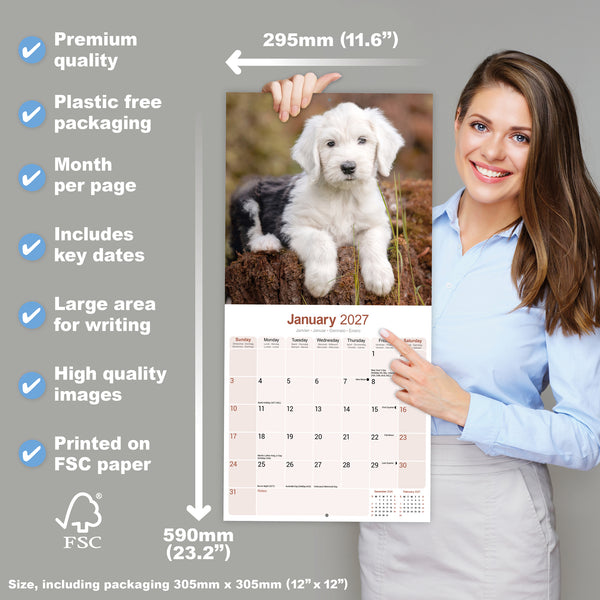 Old English Sheepdog Calendar 2027