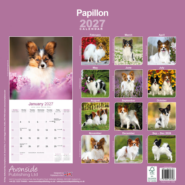 Papillon Calendar 2027