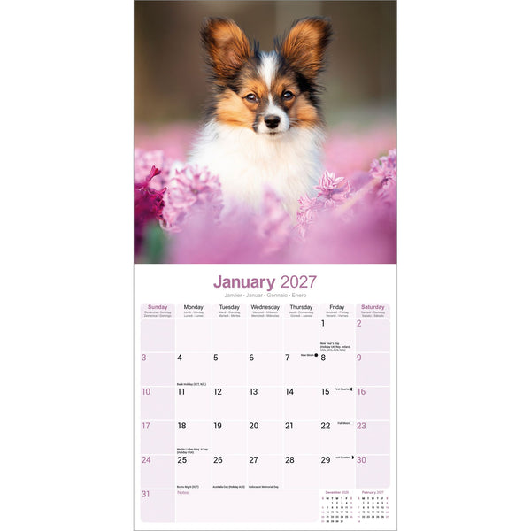 Papillon Calendar 2027