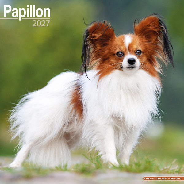 Papillon Calendar 2027