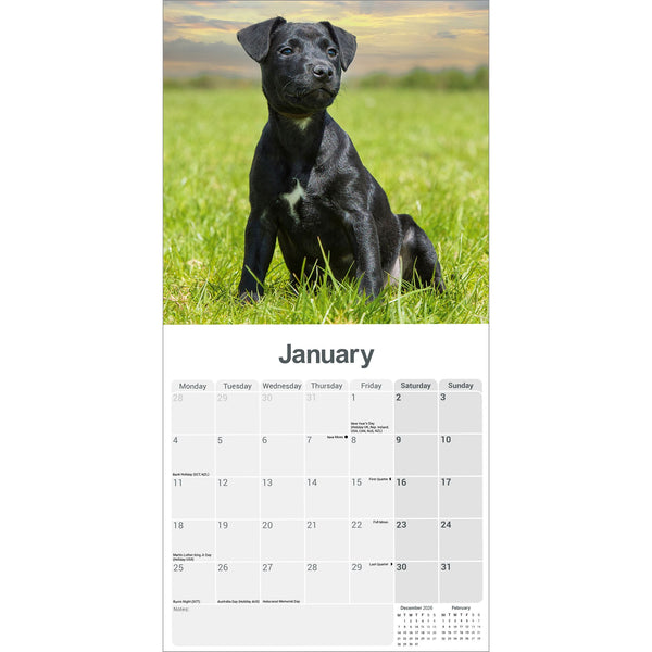 Patterdale Terrier Calendar 2027