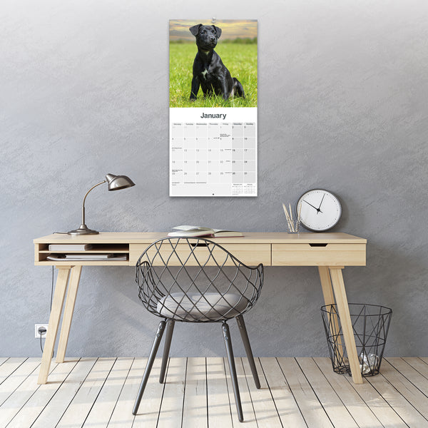 Patterdale Terrier Calendar 2027